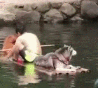 犹豫就会败北是谁说的，犹豫就会败北这句话出自哪里（物理定律告诉你：表白可能巨亏）