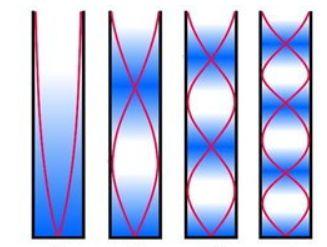 犹豫就会败北是谁说的，犹豫就会败北这句话出自哪里（物理定律告诉你：表白可能巨亏）