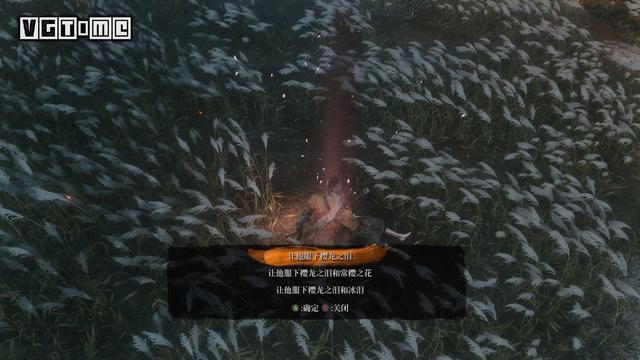 只狼柿子有什么用，只狼怎么喂假皇子吃柿子（影逝二度》四结局达成条件攻略）