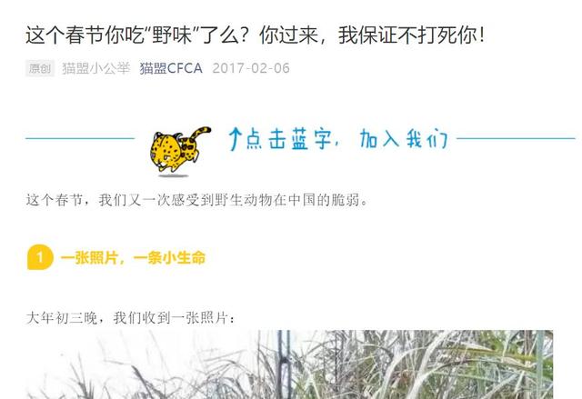 黄惊是什么动物，黄猄是国家几级保护动物（十大被吃的悲催野生动物）