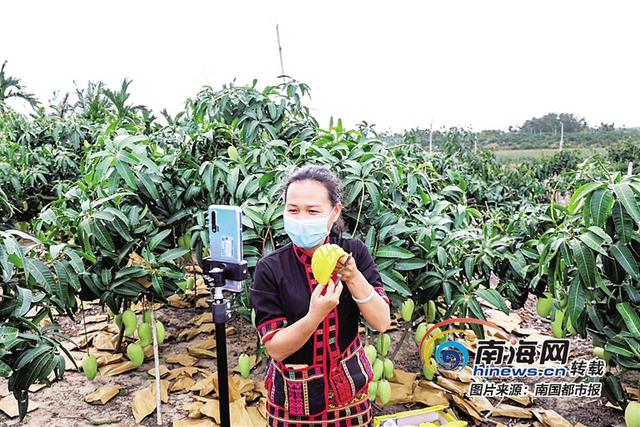 网红直播带货他们是怎么接单的，网红直播带货他们是怎么接单的呢？