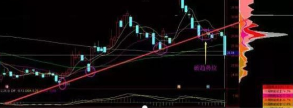 tj是什么意思，女的说tj是什么意思（手持个股发现“筹码一线天”形态）