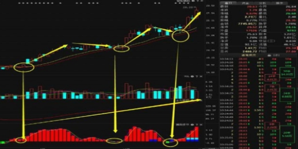 tj是什么意思，女的说tj是什么意思（手持个股发现“筹码一线天”形态）