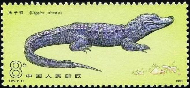 鄂是哪个省的简称，鄂是哪个省的简称w（湖北为什么简称“鄂”）