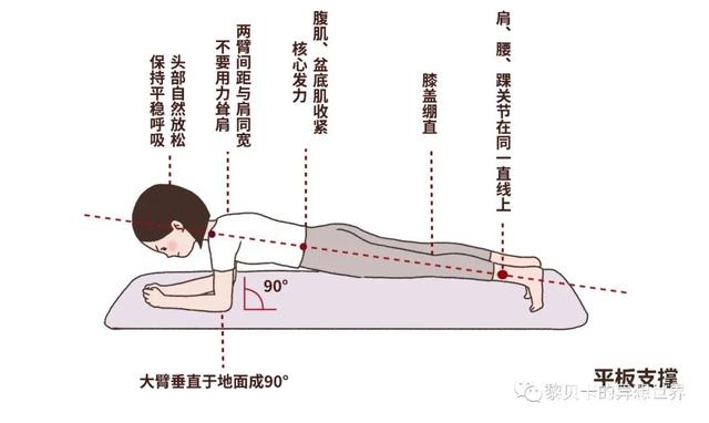 腰围54厘米算细腰吗，a4腰围一圈是多少cm（其实，腰真的不是越细越好看）