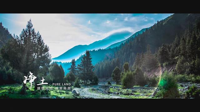 形容青海美景的句子，形容青海美景的句子简短（你想要的诗与远方都在这里）