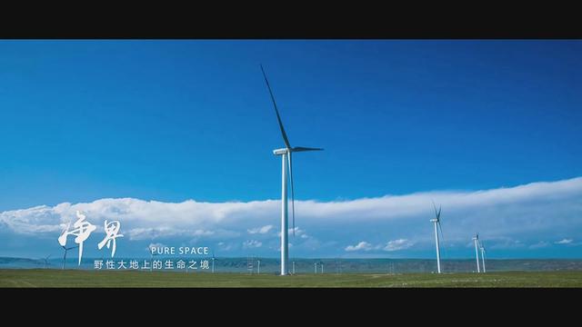 形容青海美景的句子，形容青海美景的句子简短（你想要的诗与远方都在这里）