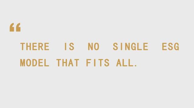 gyg 是什么意思，关于火热的ESG概念