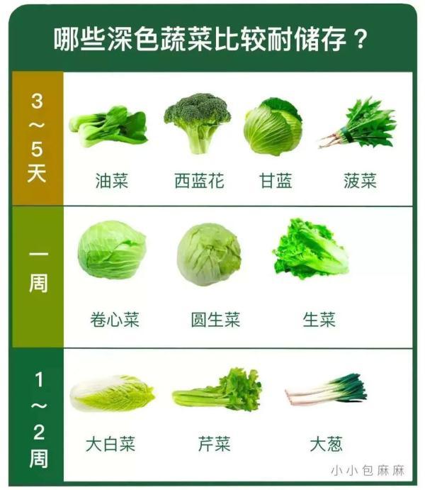 绿叶菜怎么保鲜最久，绿叶菜怎么保鲜极久（买一次菜可以一个月不出门）