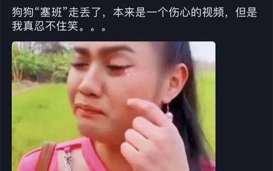 塞班是什么意思梗，塞班是什么（塞班是什么狗）