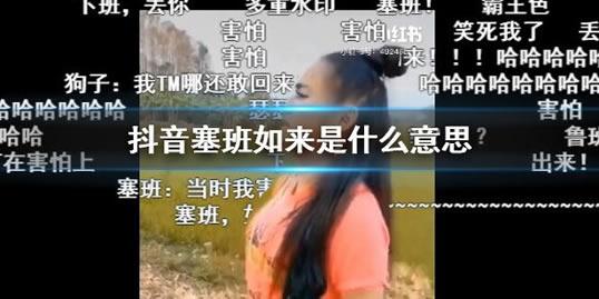 塞班是什么意思梗，塞班是什么（塞班是什么狗）