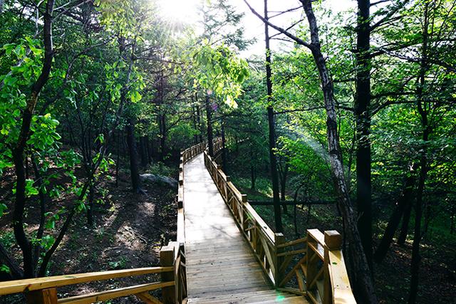 玉琢冰雕是什么意思，冰雕玉琢的意思（一年四季有看点）