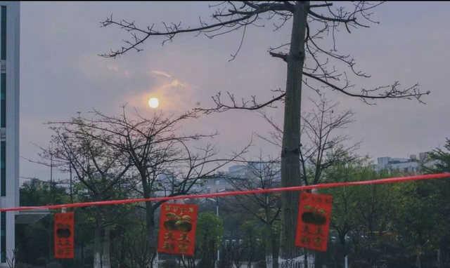女生说想rp了是什么意思，rp是什么意思（18岁和28岁哪个该过女生节）