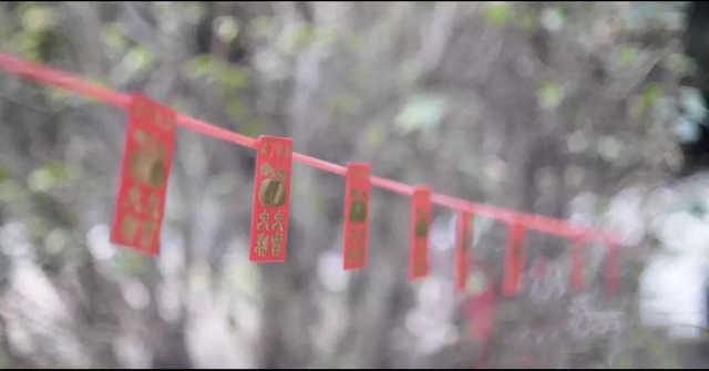 女生说想rp了是什么意思，rp是什么意思（18岁和28岁哪个该过女生节）