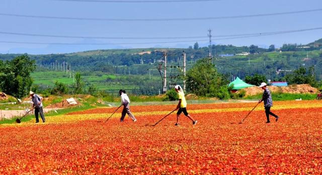 内丘县属于哪个市，内丘县属于哪个市离北京多远（邢台内丘：内蕴深厚 丘生魅力）