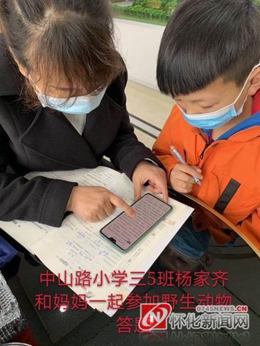 爱护动物的标语，关于保护动物的标语有哪些（保护野生动物，从我做起）