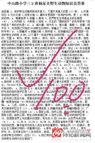 爱护动物的标语，关于保护动物的标语有哪些（保护野生动物，从我做起）