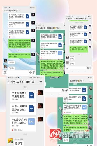 爱护动物的标语，关于保护动物的标语有哪些（保护野生动物，从我做起）