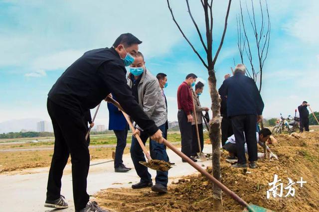 南溪镇分别有哪些村，南溪镇分别有哪些村庄（普宁市南溪镇：不负三月好时光）