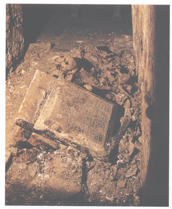 七二年属什么生肖，1972年属什么生肖属相（沈睿文谈隋唐考古与古代墓葬研究）