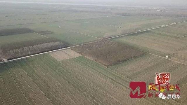 项羽的祖籍是哪里人，项羽家乡和刘邦家乡（信不信？项羽墓地在平阴）