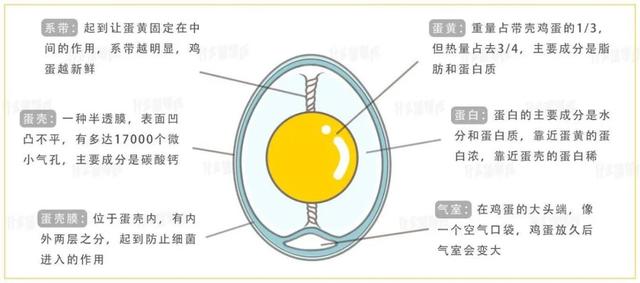 烘焙奶油和重奶油的区别，超全的烘焙入门指南 ， 烘焙