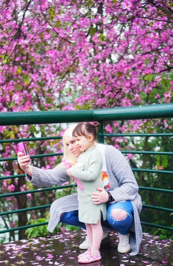 柳州紫荆花什么时候开，柳州的紫荆花什么季节开（最美柳州三月天）