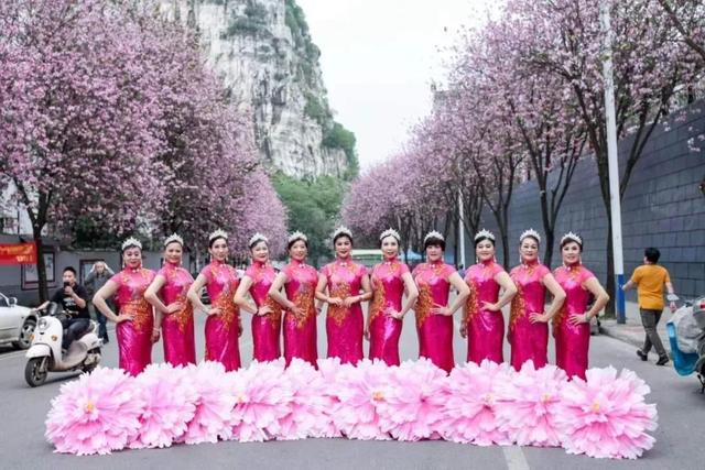 柳州紫荆花什么时候开，柳州的紫荆花什么季节开（最美柳州三月天）