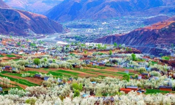 阳光不燥微风正好，阳光正好的意思是什么（快来线上“云赏花”）