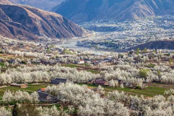 阳光不燥微风正好，阳光正好的意思是什么（快来线上“云赏花”）