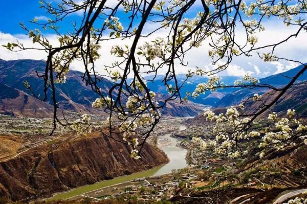 阳光不燥微风正好，阳光正好的意思是什么（快来线上“云赏花”）