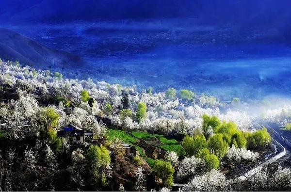 阳光不燥微风正好，阳光正好的意思是什么（快来线上“云赏花”）