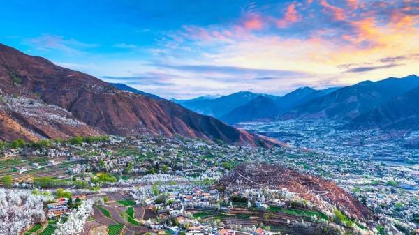 阳光不燥微风正好，阳光正好的意思是什么（快来线上“云赏花”）