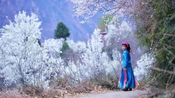 阳光不燥微风正好，阳光正好的意思是什么（快来线上“云赏花”）