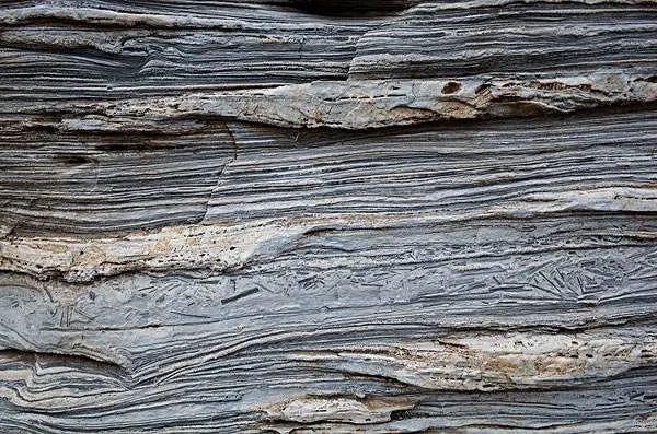 地震波有哪几种 地震波分为几种类型，地震波有哪几种（关于地震，这些你要明白！）