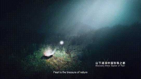 歌手张也哪一年出生，著名女歌手张也倾情唱出诸暨千年之美