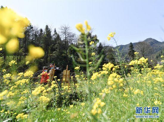 学习如何独自打垒球，垒球怎么击球（摩托车上的小课堂）