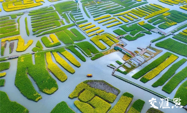 东罗吧(斗罗大陆)，斗罗大陆 东东（不负春光的你快来云游吧）