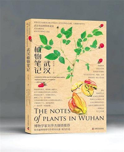 木兰科植物的花序为总状花序。，A.正确B.错误（武汉植物笔记）