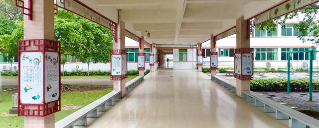 异木棉和紫荆花有什么区别，异木棉和紫荆花的图片（<9>大南中学打造“自信教育”特色）