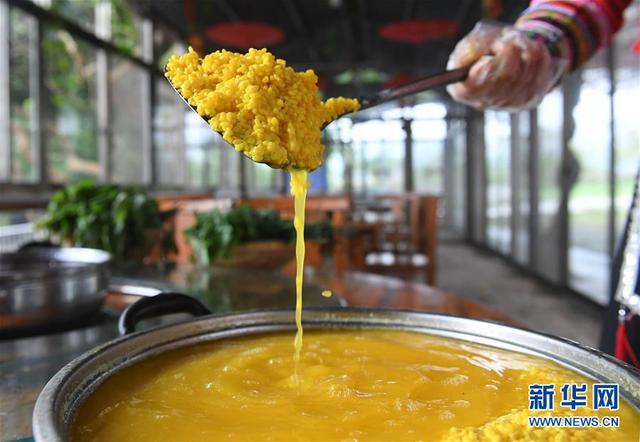 绿色糯米饭用什么植物染色,绿色糯米饭怎么染色(探秘“壮族三月三”五色糯米饭制作) 绿色糯米饭用什么植物染色,绿色糯米饭怎么染色(探秘“壮族三月三”五色糯米饭制作)