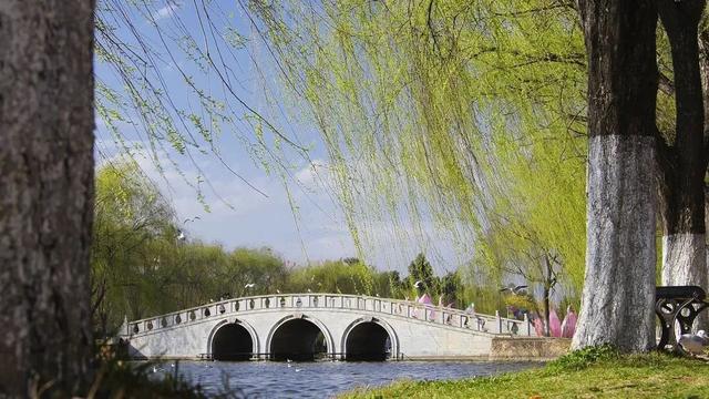 飞花令常用诗句，上百句含“春”的经典诗词