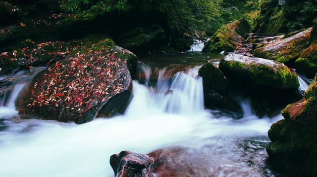 六盘山在哪里，安徽六盘山在哪里（六盘山——风景旖旎的“高原绿岛”）