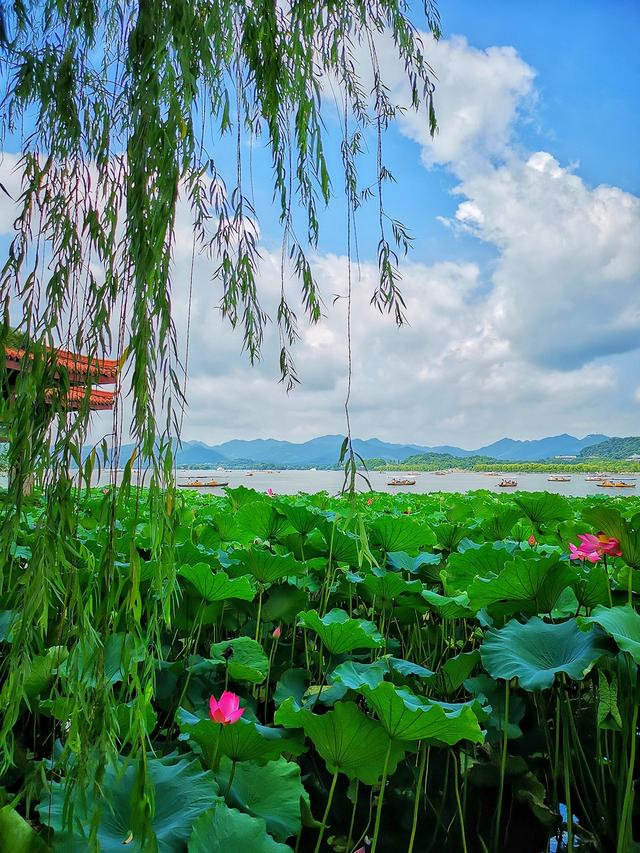 西湖在哪里，潮州西湖在哪里（世界文化遗产：杭州西湖）