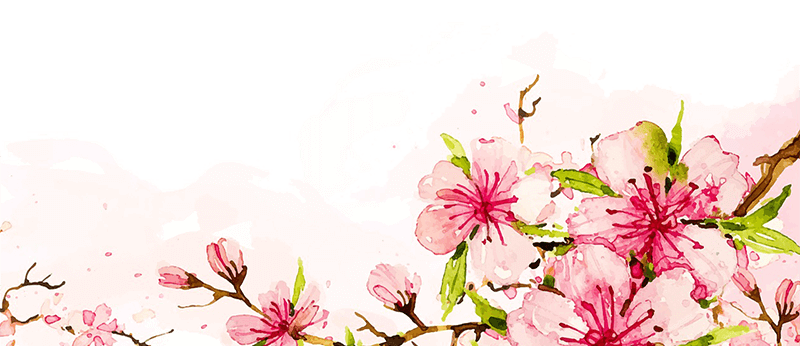 西安花鸟市场(北京最大的花鸟市场)