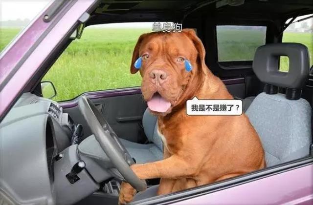 车险各个险种详细解释，车险内容详细介绍（这些基本汽车保险知识你都要会）