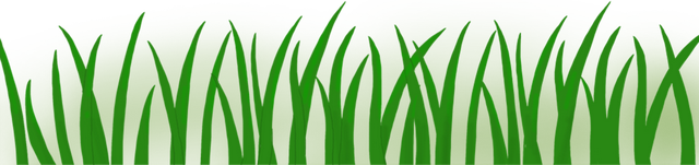 文学作品中性描写，周姓女孩起名大全（贾平凹《废都》中“删去XX字”是真的还是噱头）