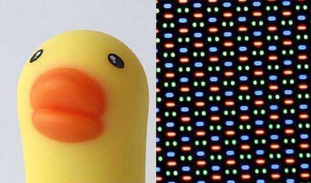 周冬雨为什么叫小黄鸭，周冬雨和黄鸭（和你聊聊手机屏幕排列的那些事）