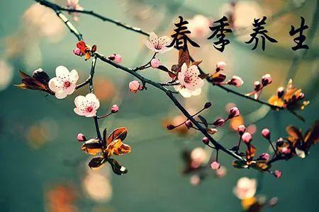 春季养生必吃十种食物，这10道食谱送给你