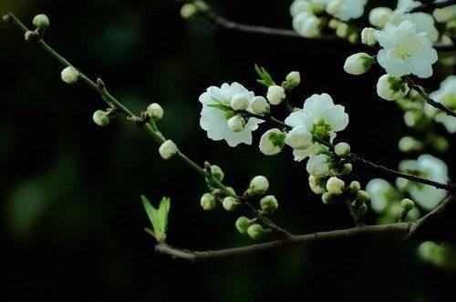 双腿打开吮花蒂，打坐怎么打坐（一次在姥爷去世的那天）